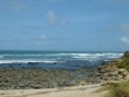 /album/photo-gallery-nahoon-reef/p1060692-jpg/
